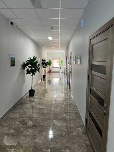 изображение-2